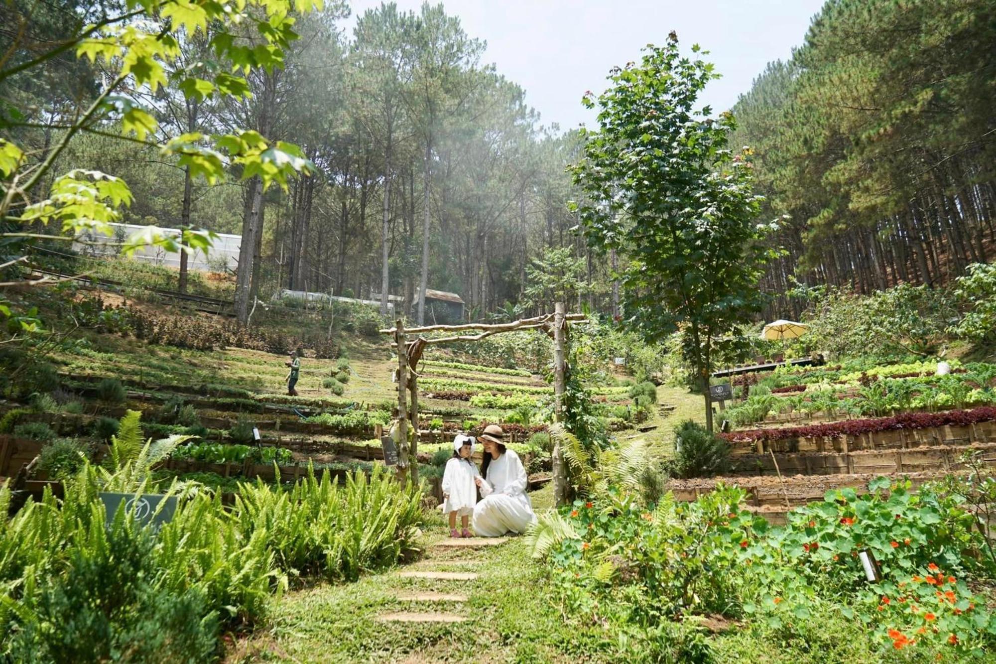 Mo Stay - Forest Resort ダラット エクステリア 写真