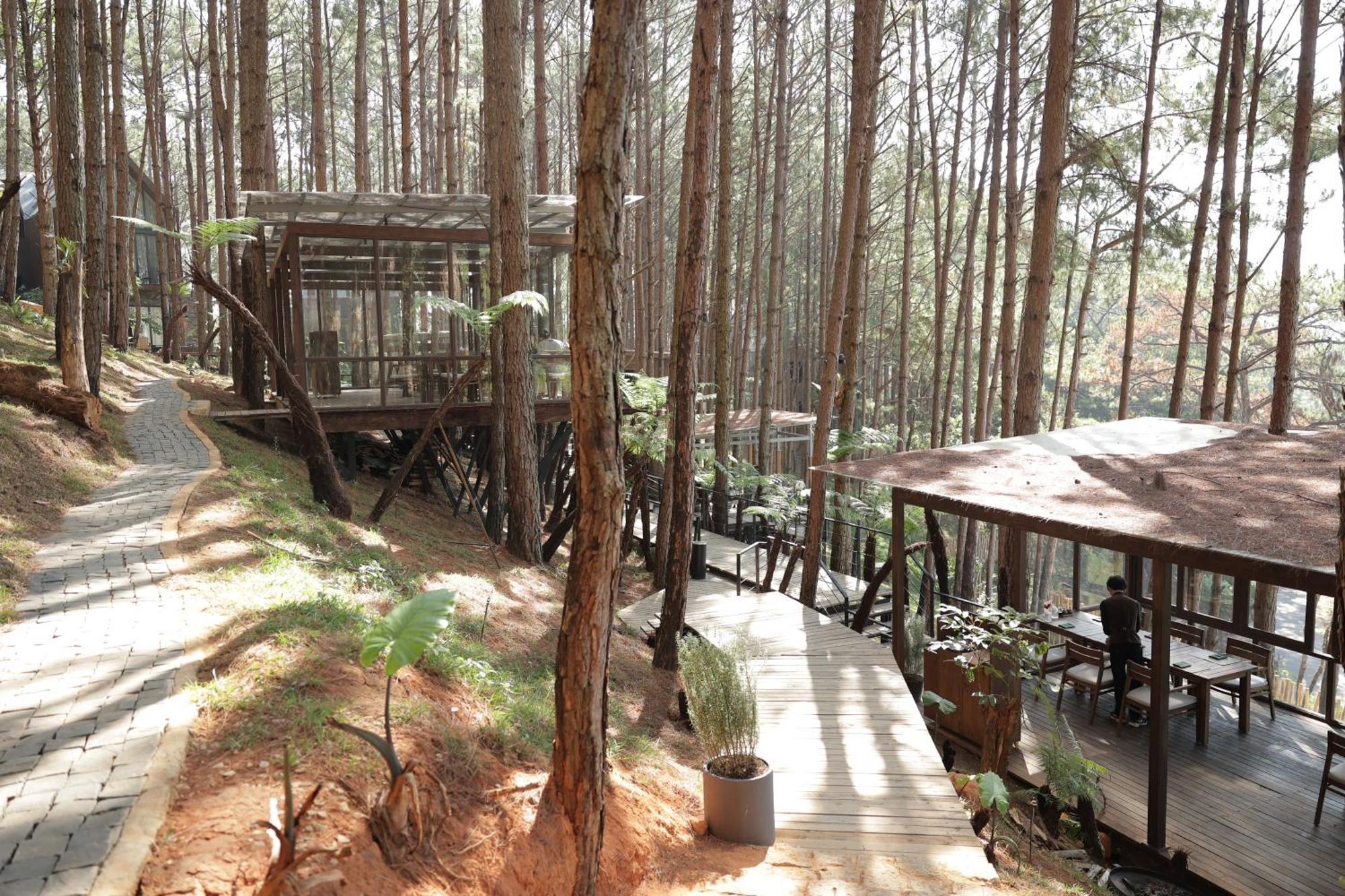 Mo Stay - Forest Resort ダラット エクステリア 写真