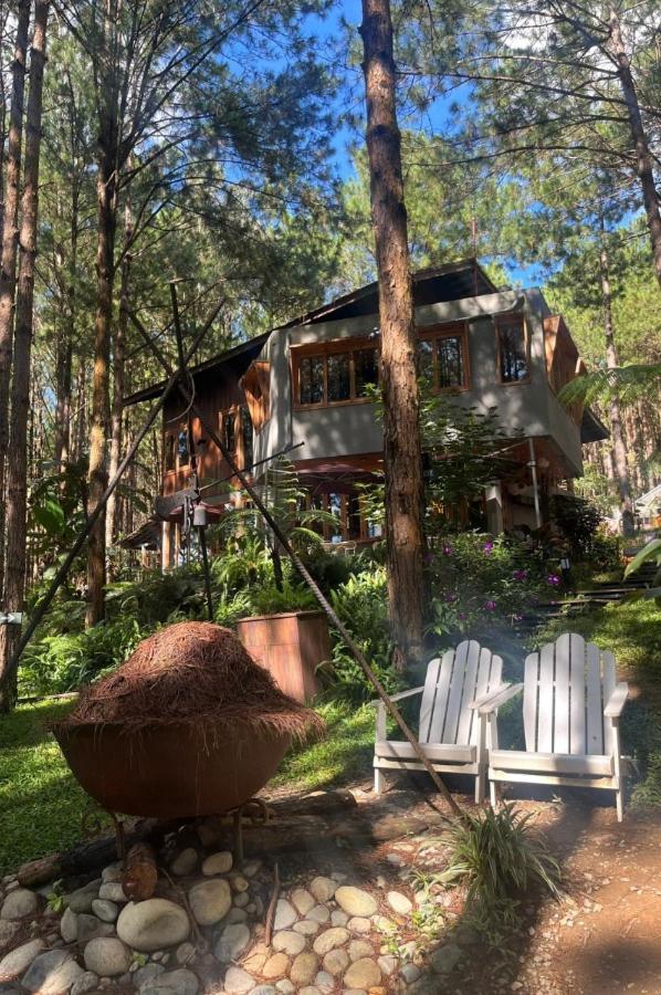 Mo Stay - Forest Resort ダラット エクステリア 写真