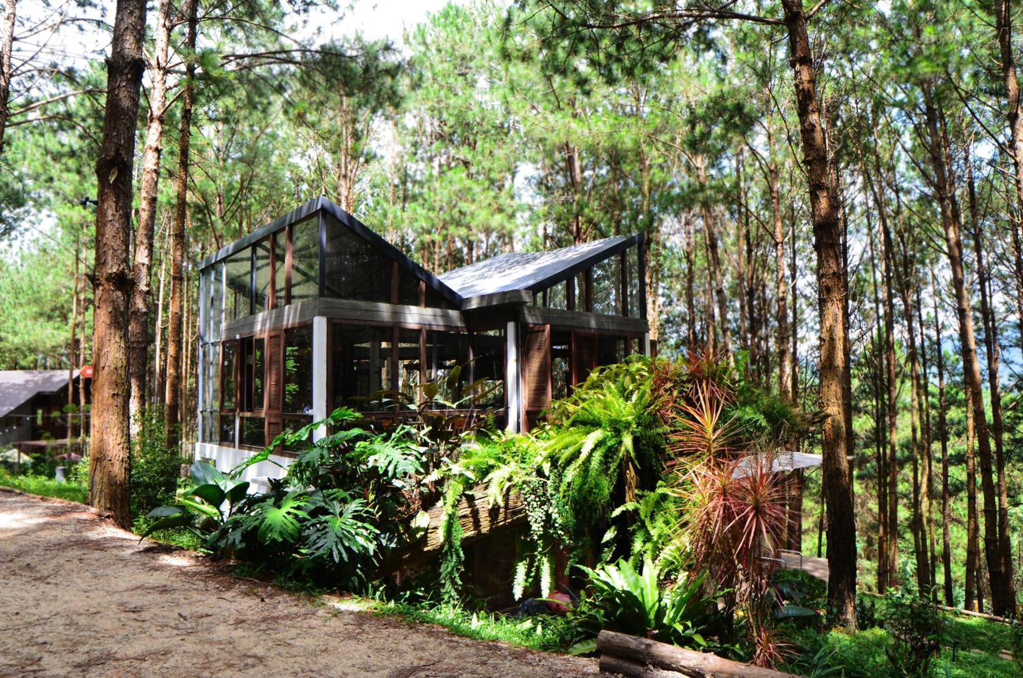 Mo Stay - Forest Resort ダラット エクステリア 写真