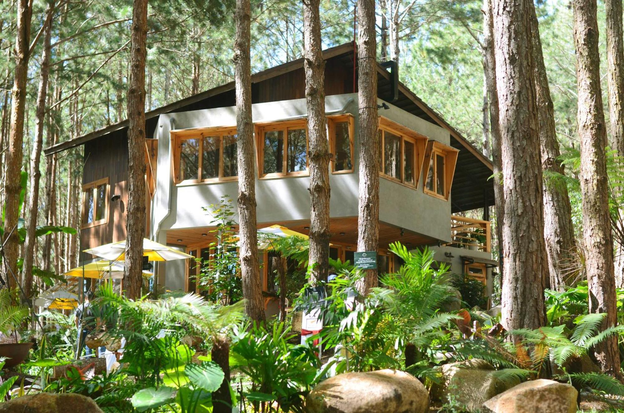 Mo Stay - Forest Resort ダラット エクステリア 写真