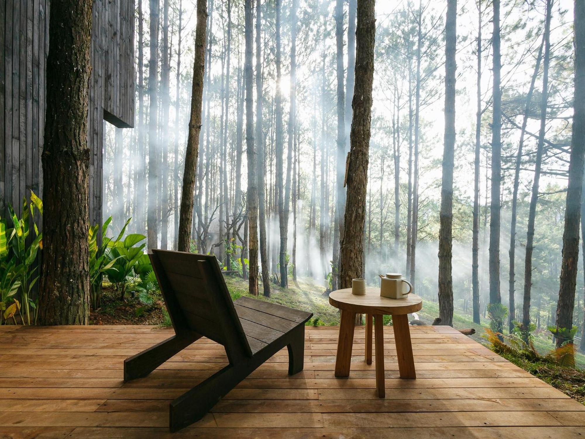 Mo Stay - Forest Resort ダラット エクステリア 写真