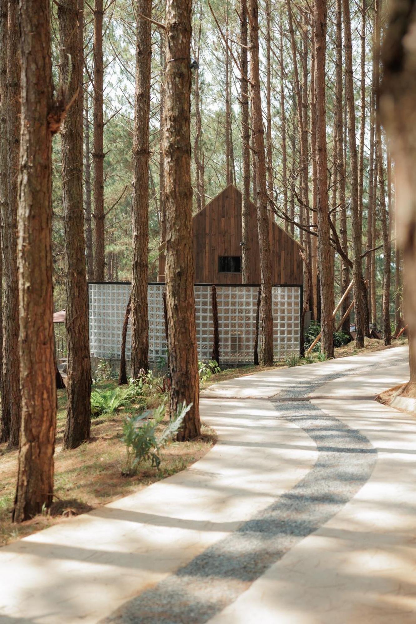 Mo Stay - Forest Resort ダラット エクステリア 写真