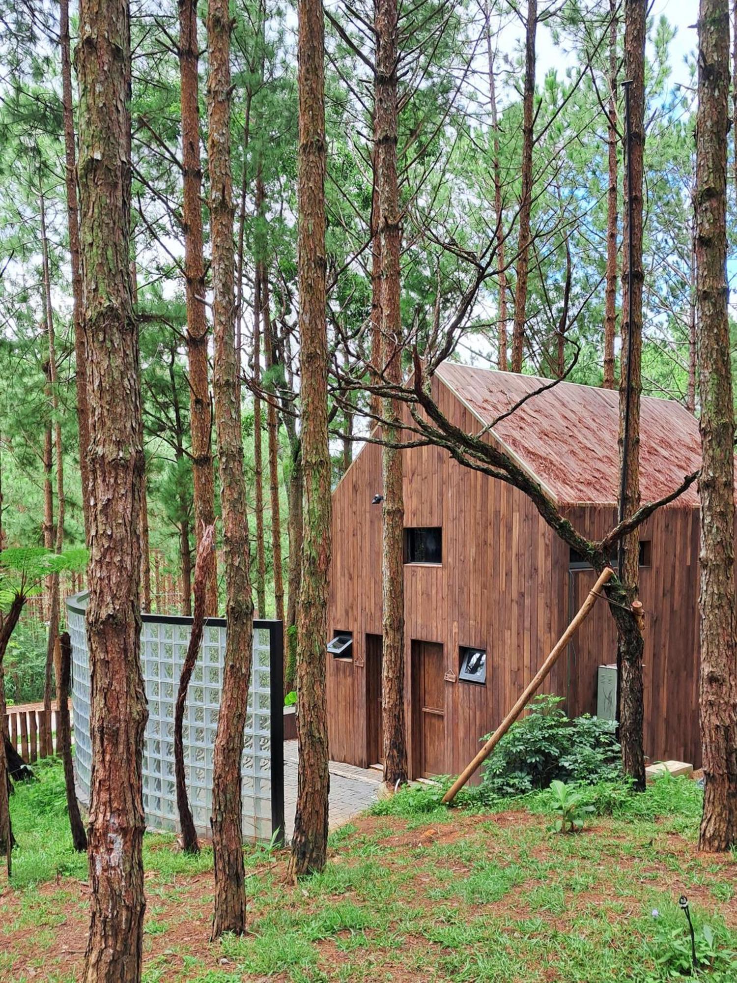 Mo Stay - Forest Resort ダラット エクステリア 写真
