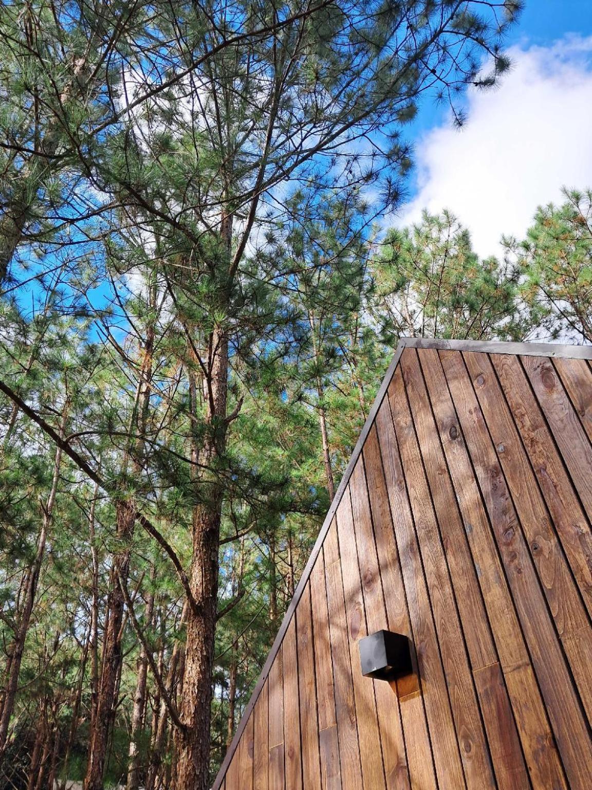 Mo Stay - Forest Resort ダラット エクステリア 写真